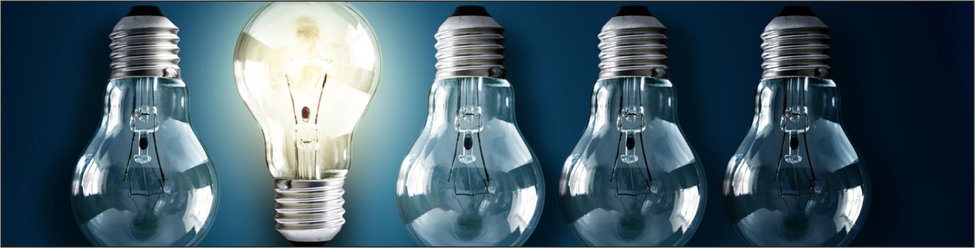 Intellectual Property Rights