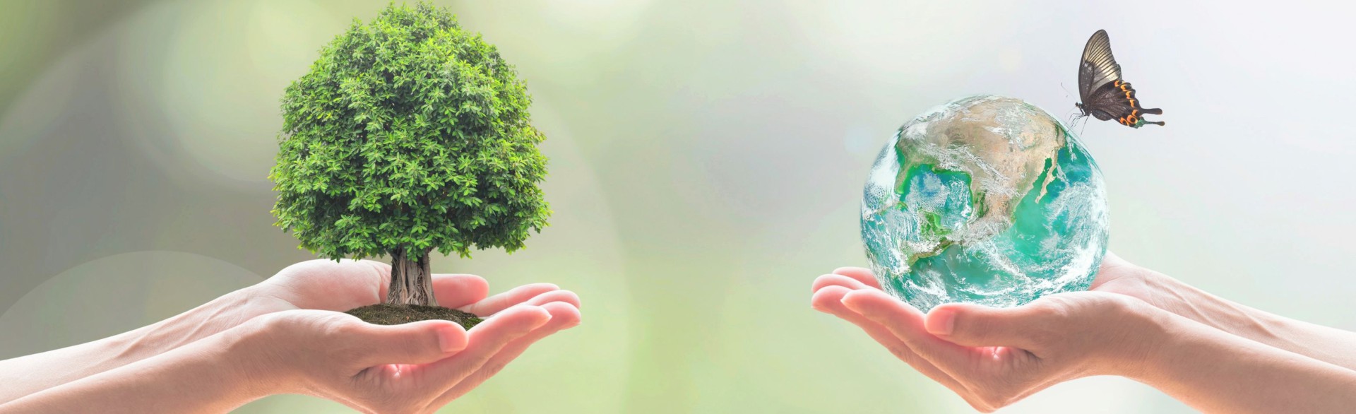 CSR Policy