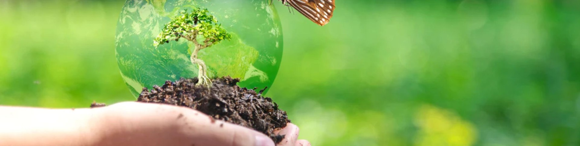 Biological Resources  and Related Legislation